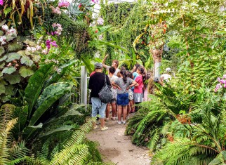Arts and Culture Innovation and Adaptation – Jerusalem Botanical Gardens