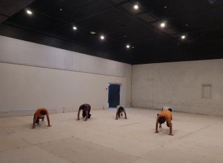 Arts and Culture Innovation and Adaptation – Rav Chen Culture Center